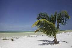 Beautiful Holbox • <a style="font-size:0.8em;" href="http://www.flickr.com/photos/36411312@N03/10825198185/" target="_blank">View on Flickr</a>
