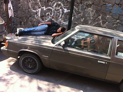Only in Mexico, sleeping on car • <a style="font-size:0.8em;" href="http://www.flickr.com/photos/36411312@N03/8611724124/" target="_blank">View on Flickr</a>