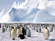 9. Hack a trip to Antarctica