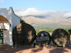 37. Visit wine estates Chili/ Argentina
